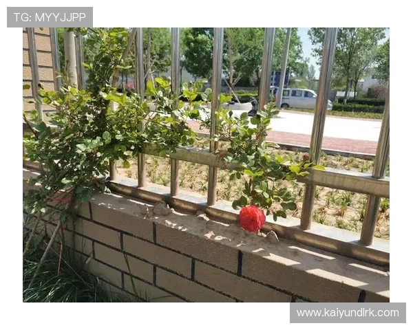 开云登陆入口官方公告,及时获取平台最新登录入口变更与通知信息 开云登陆入口官方公告,及时获取平台最新登录入口变更与通知信息